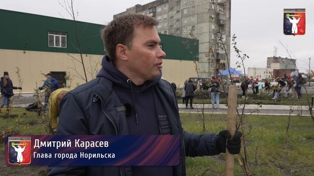 Озеленение Норильска