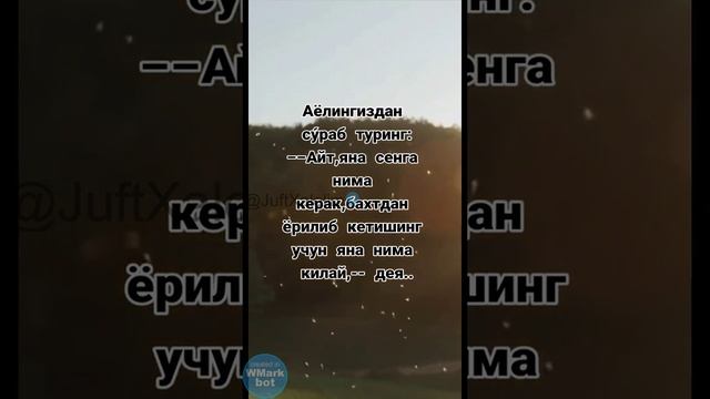 1679763482062.mp4