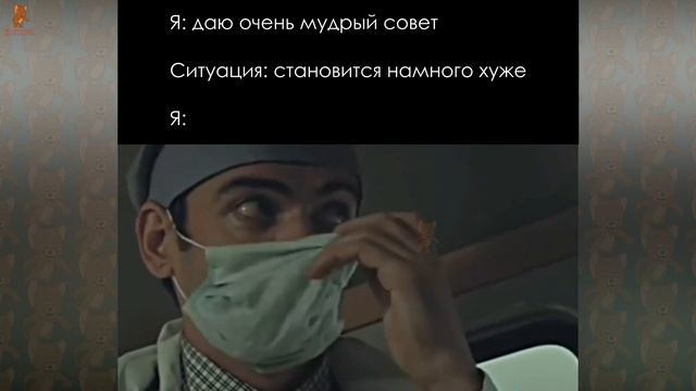 Лапенко Лучшие Мемы