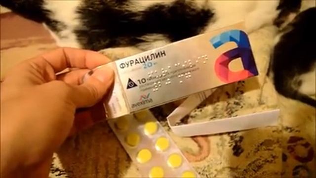 Глаза котенка гноятся? Лечим /Взяла бездомную кошку