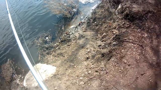 Рыбалка на паук. Лещ. Рыбалка на подъемник.