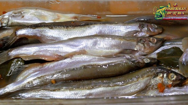 Мойва пряного посола, очень вкусная закуска из мойвы, от Fisherman dv 27rus