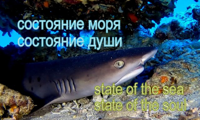 Состояние моря. Состояние души.