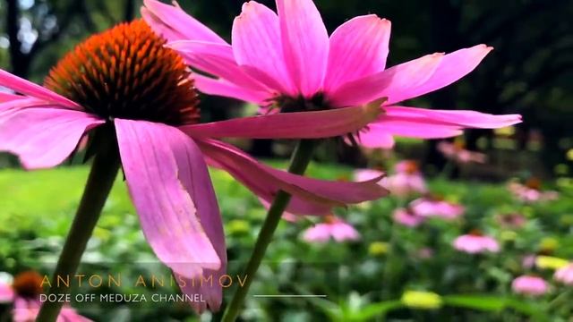 Спокойная Музыка Для Снятия Стресса - RELAXING PIANO - Music - Stress Relief Music