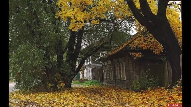 Русская народная песня ( Старый клён )