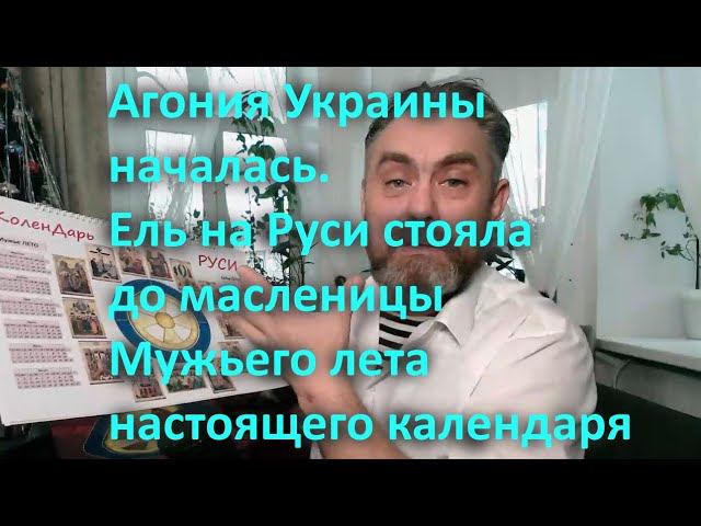 Агония Украины началась Ель на Руси стояла до масленицы Мужьего лета настоящего календаря