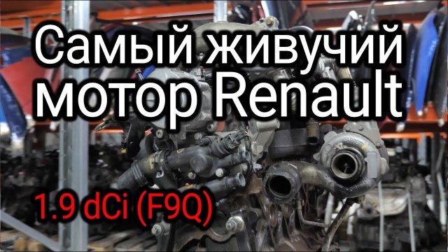 Хорош или все-таки плох? Разбираемся с проблемами Renault 1.9 dCi (F9Q)