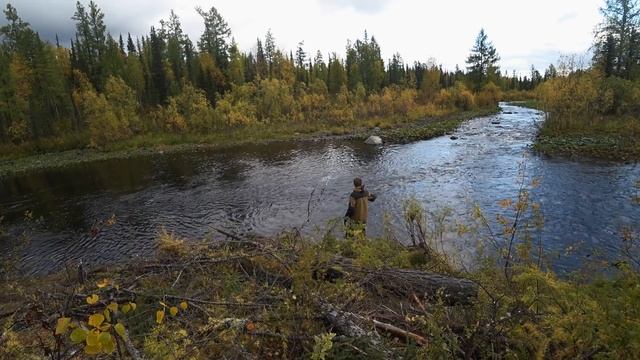 ПРОМЫСЕЛ 2018  #13.  Жизнь в тайге, рыбалка, золотая осень.