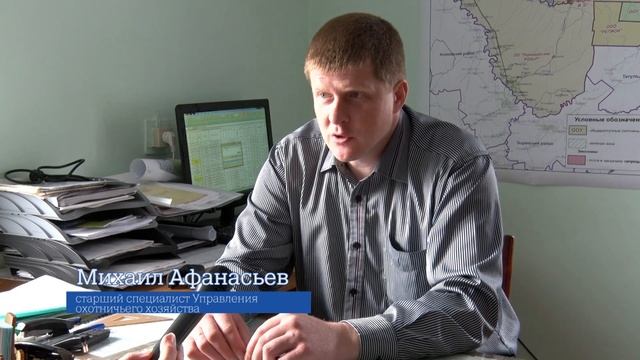 Мои документы   Лицензия и разрешение на оружие HD