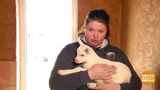 Фермерские продукты: а документы есть? Доброе утро. Фрагмент выпуска от 20.04.2023