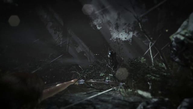 Tomb Raider: Часть 2 - Инстинкт выживания