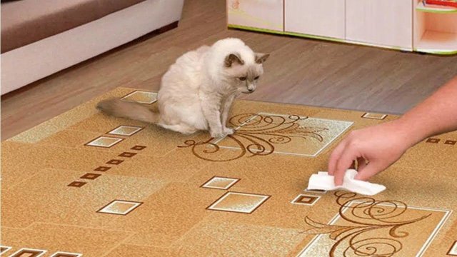 Эффективно на 100% УБИРАЕТ запах мочи КОШАЧЬИХ