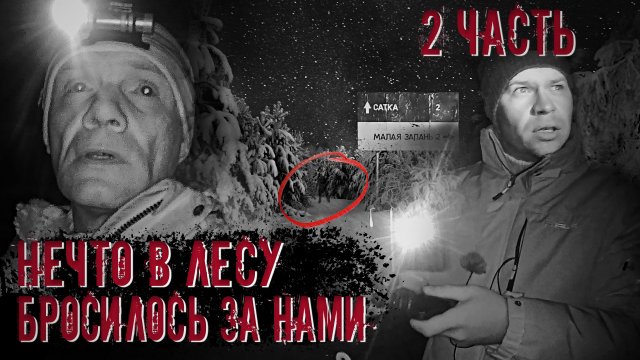 Нечто в лесу бросилось за нами. (2 часть)