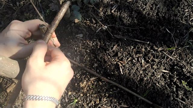 ПОЙМАЛ ФАЗАНА НА ЛОВУШКУ / КАК СДЕЛАТЬ ЛОВУШКУ НА ФАЗАНА ?! как поймать фазана?