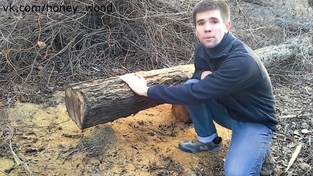 Древесина облепихи