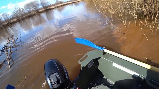 ЗА ЭТИМИ ЛОДКАМИ БУДУЩЕЕ! ЛОДКА ПНД PRIZMA 4000 ROGER \ ЗАМЕР СКОРОСТИ НА МОТОРЕ ГЛАДИАТОР 9.9!