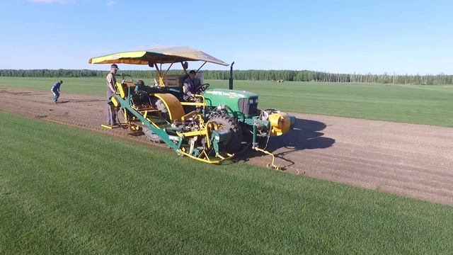 ЗЕЛЕНЫЕ ГОРИЗОНТЫ - рулонные газоны высшего качества!