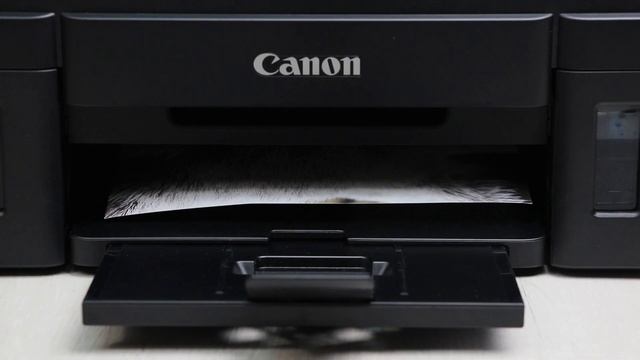 МФУ Canon PIXMA G3411 ? Обзор + тест печати фотографий на принтере