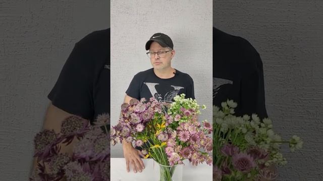 Астранция . полезные советы Павла Горбенко в #азбука_цветов