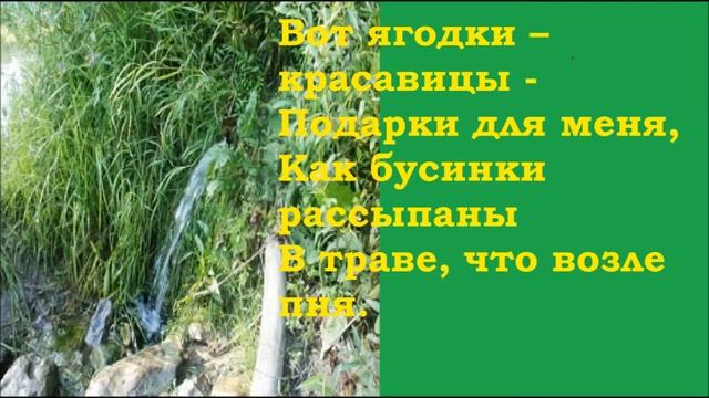 Стихи. Иду я по дорожке