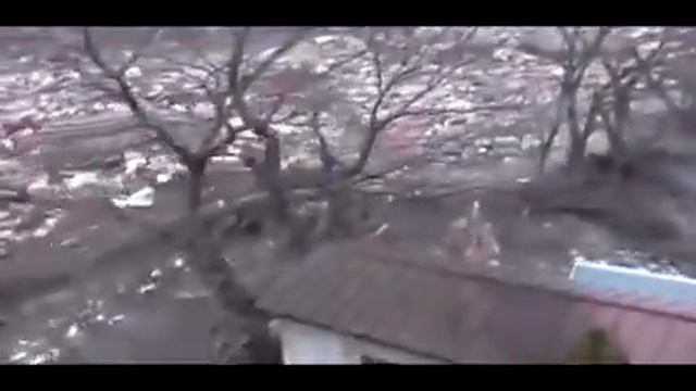 Цунами в Японии 2011 Невероятные кадры