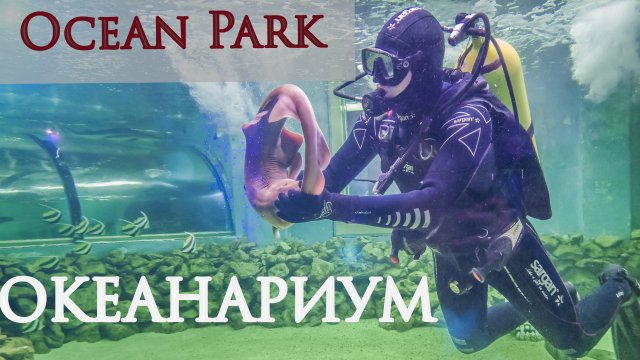 Океанариум Океан Парк Краснодар