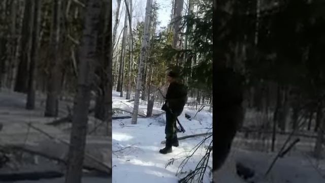 опасная охота на медведя с берлоги