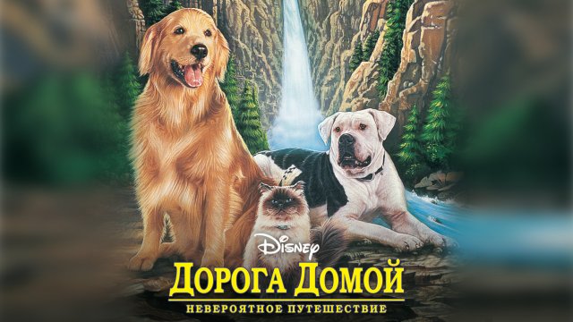 Дорога домой: Невероятное путешествие (фильм, 1993)