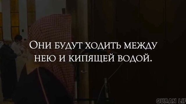 Сура Ар-Рахман. Мухаммад Аль Люхайдан. #коран #люхайдан