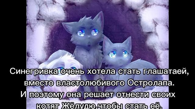 История Синей Звезды⭐️?/Коты-воители