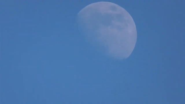 В небе луна днём