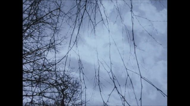 Alex G ft Emily Yacina - Treehouse