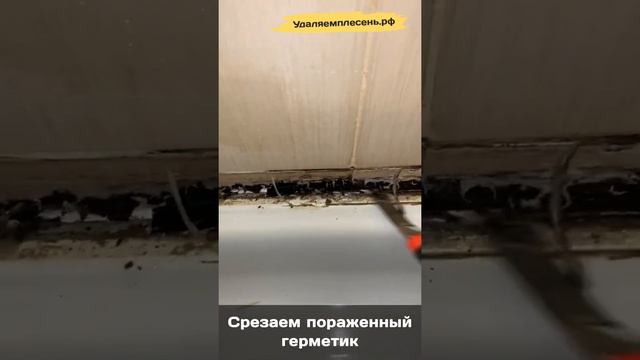 Удаление плесени, замена герметика и установка уголка в душевой