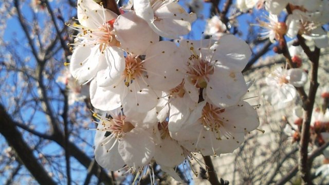 АУДИОКНИГА АНТОЛОГИЯ ЧАСТЬ 5 ( ЧИТАЕТ АВТОР ВЛАСОВ АЛЕКСАНДР)