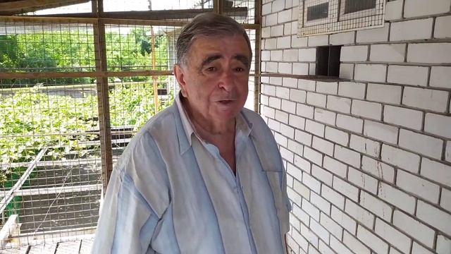 В гостях у Михаила Михайловича голубевода-селекционера.Николаевские голуби Донецка (3.07.21г)