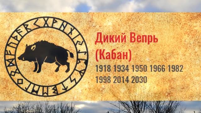 Славянский Тотемный гороскоп по годам. Узнай свое тотемное животное!