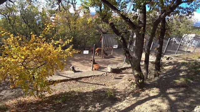 отель Ялта-Интурист корпус Грин парк Обзор Пляж Соляная пещера Отдых в Ялте и Крыму 2021