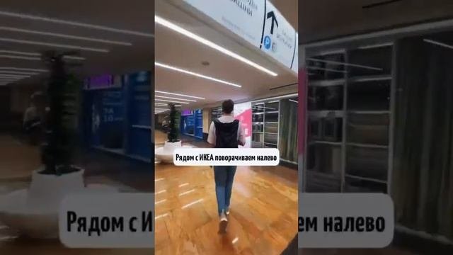 1724182840484.mp4