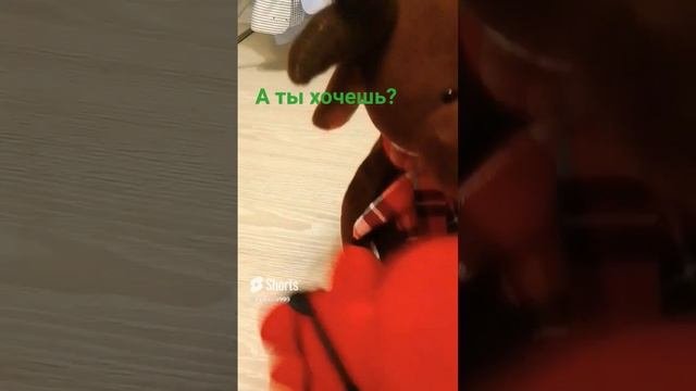 хочешь или нет