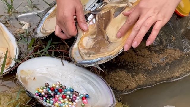 Unbelievable,there are mussels under the aquatic plants in the small river,and I got colorful pearl
