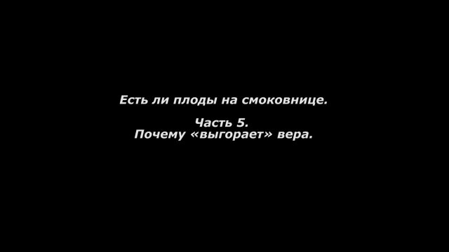 Есть ли плоды на смоковнице.
Часть 5. Почему «выгорает» вера.