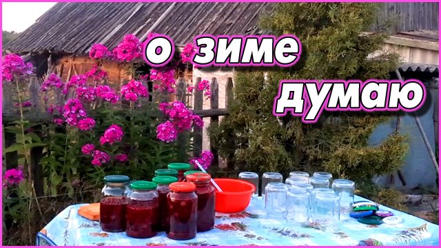 #82 Летний день - год кормит. Снова прибавление в хозяйстве