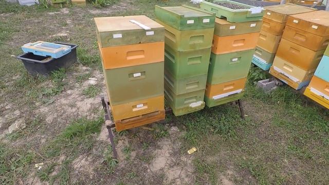 Зимовка на глухом дне в улье ППУ Нижегородец (эксперимент).