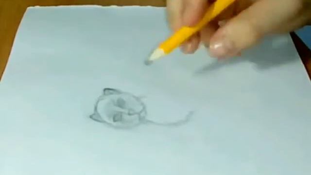 Как нарисовать кошку.