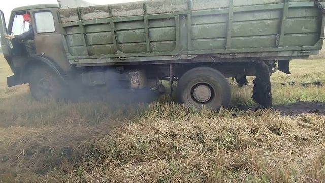 МАЗ буксует, комбайны возвращаются, и что будет с урожаем 2024?