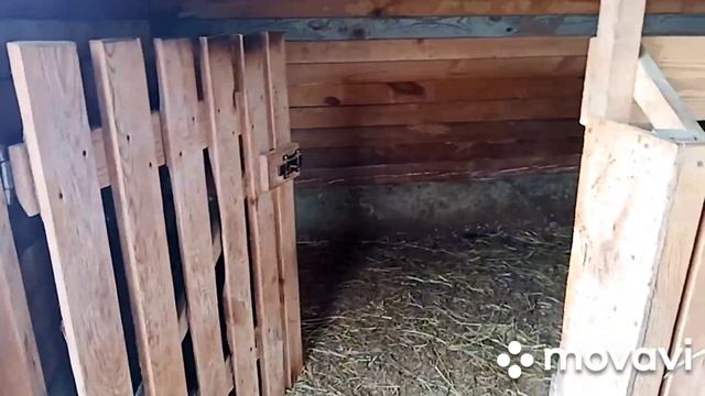 Обзор козовника