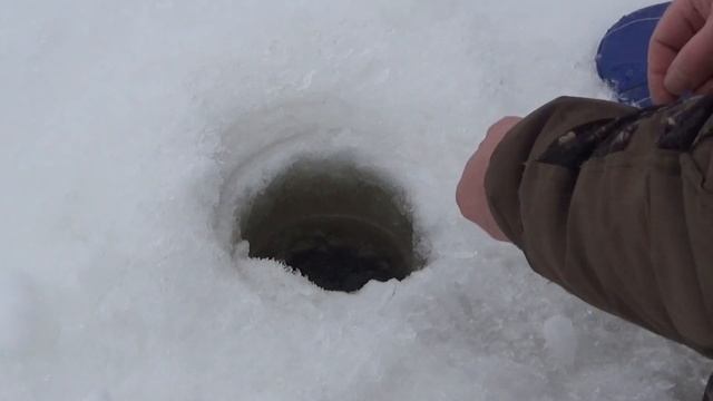Зимняя рыбалка на жерлицы в глухозимье.Флажки стреляют один за одним.