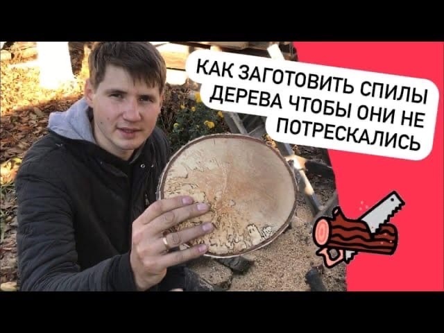Как заготовить торцевые спилы дерева чтобы они не потрескались