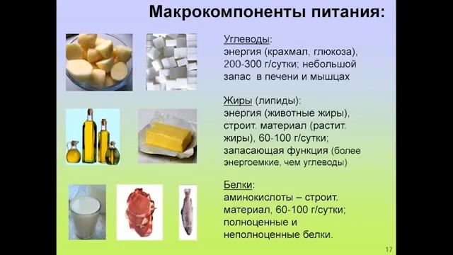 Вячеслав Дубынин Лекция 2 Мозг и еда Мозг и потребности Человека