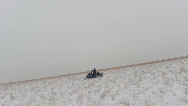 Охота на Волков 2022